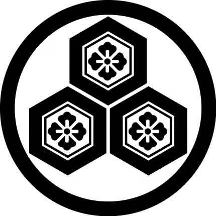 丸に三盛り亀甲花菱の家紋